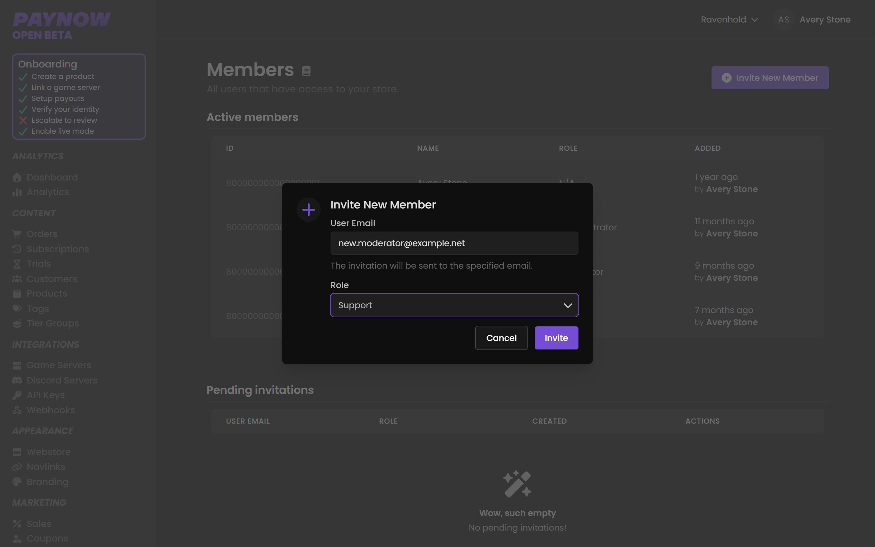 The Team Members page with the invite dialog open, showing the email field and role selector.